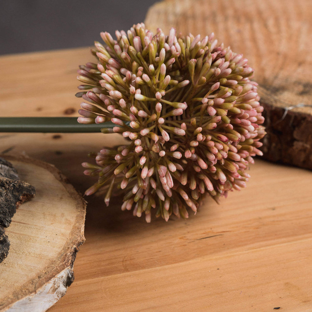 Pink Allium artificial stems, lifelike faux flowers for home decor, soft pink botanical arrangement, 63 cm tall by RoomLondon at brixbailey.com