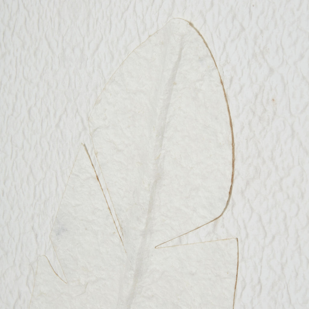 White feather artwork in beaded frame, minimalist modern wall decor for serene interiors  by sostter at brixbailey.com