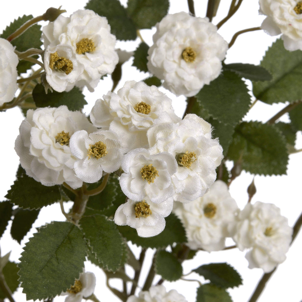 White wild meadow rose spray with lifelike plastic petals for elegant floral arrangements by sostter at brixbailey.com