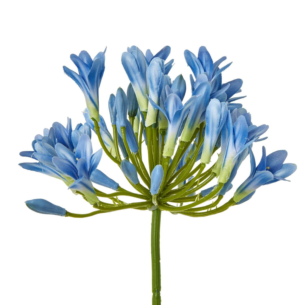 Lifelike blue agapanthus artificial stem with vibrant petals, 75cm tall, perfect for home dÃ©cor by Sostter at brixbailey.com