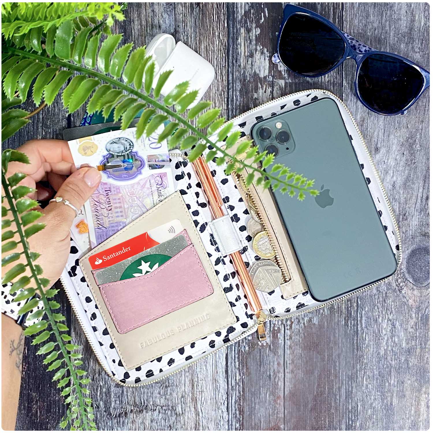 Dalmatian Travel Organiser