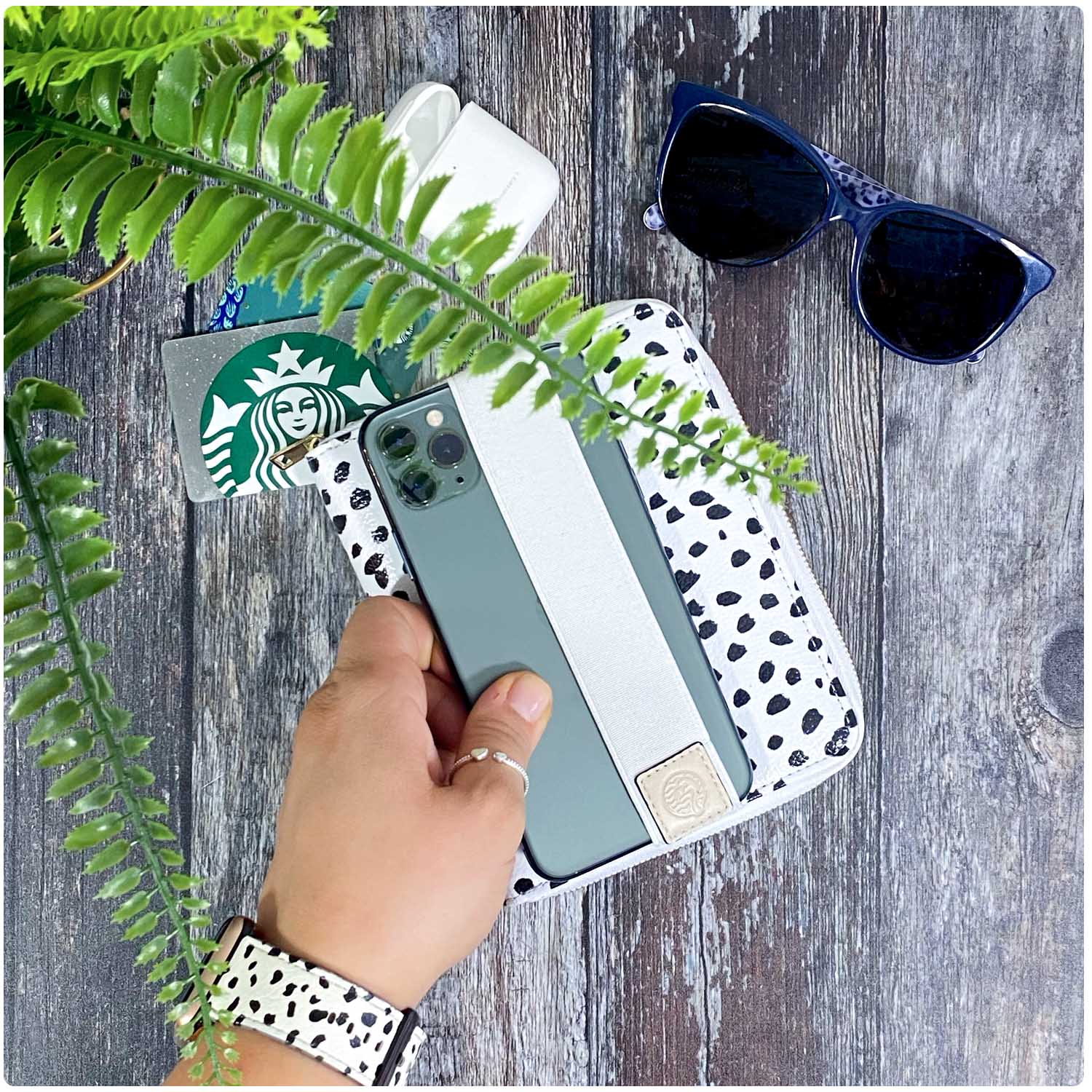 Dalmatian Travel Organiser