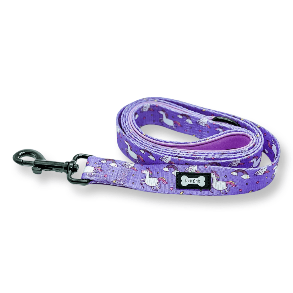 Daydreams and Unicorns 5ft Dog Lead
