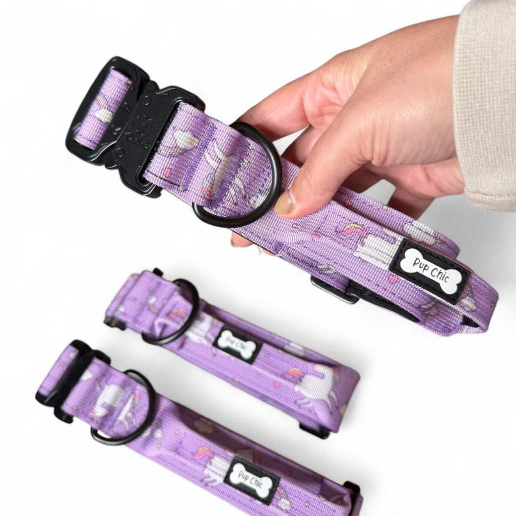 Daydreams and Unicorns Dog Collar
