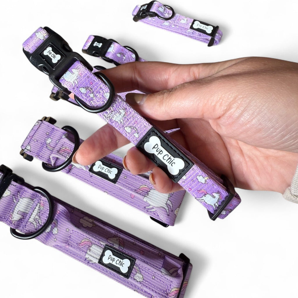 Daydreams and Unicorns Dog Collar