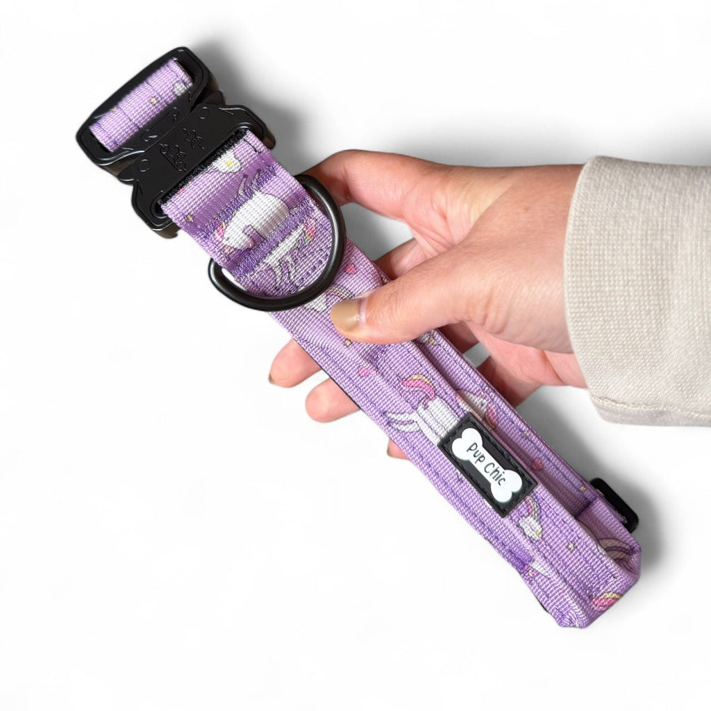 Daydreams and Unicorns Dog Collar