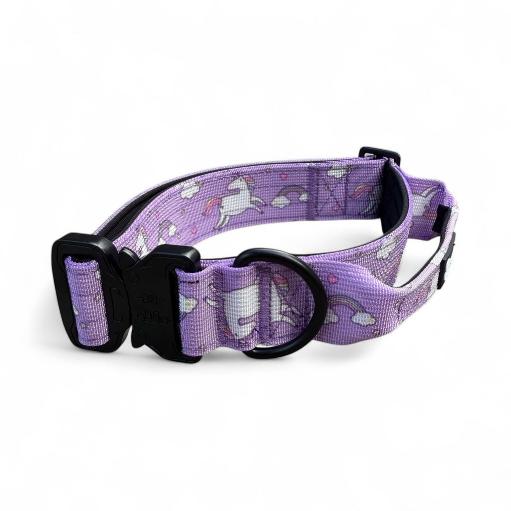 Daydreams and Unicorns Dog Collar