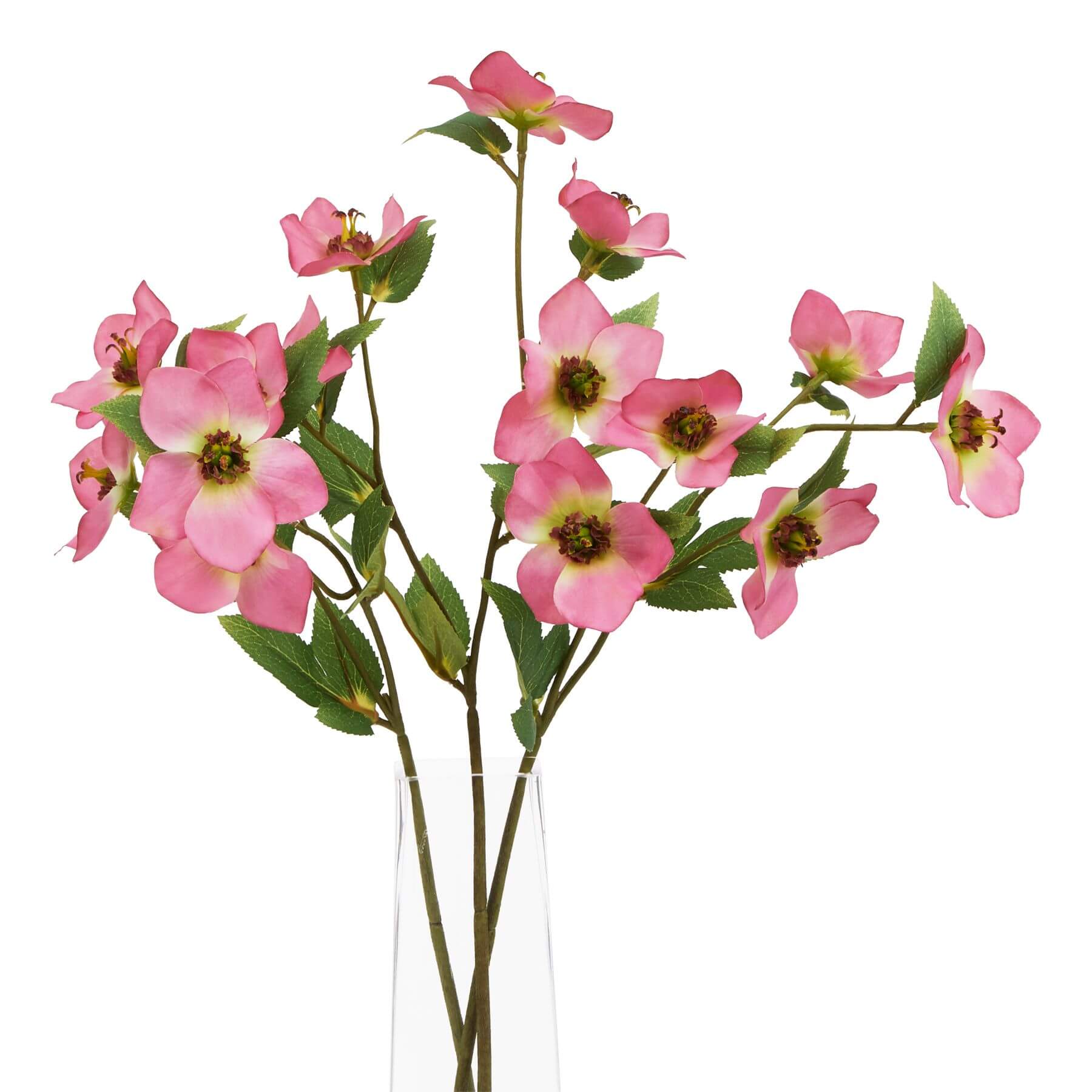 Artificial pink hellebore flower with variegated petals, 47 cm tall, plastic stem for year-round freshness.by sostter at brixbailey.com