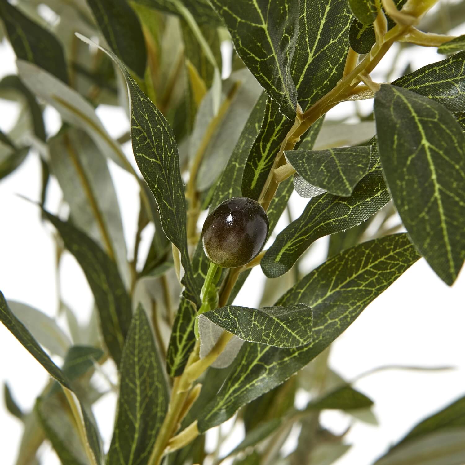 210cm lifelike Apulia Olive Tree artificial plant in white pot with silvery-green leaves and textured brown trunk by Sostter at brixbailey.com