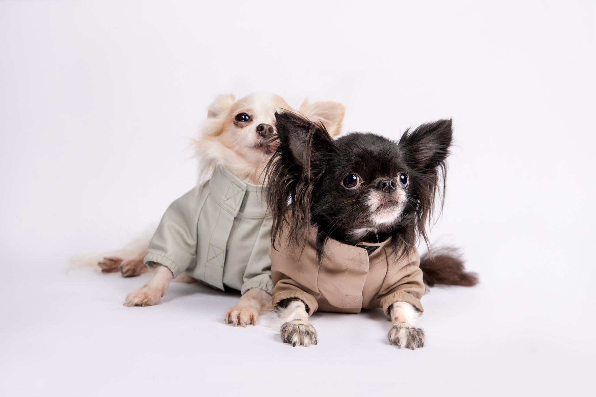 You Are Not Alone Thin Coat Water Resistant