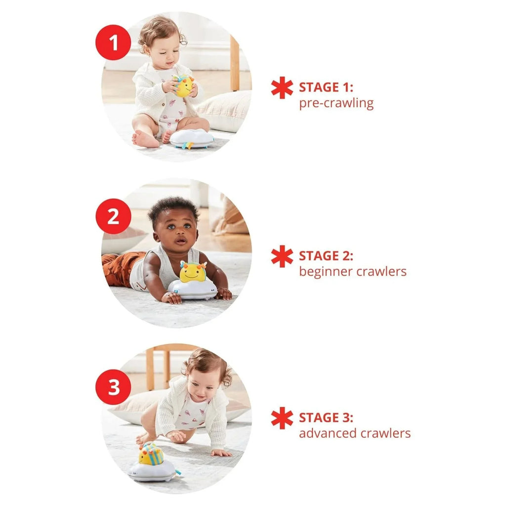 Explore and More Follow Bee Crawl Toy