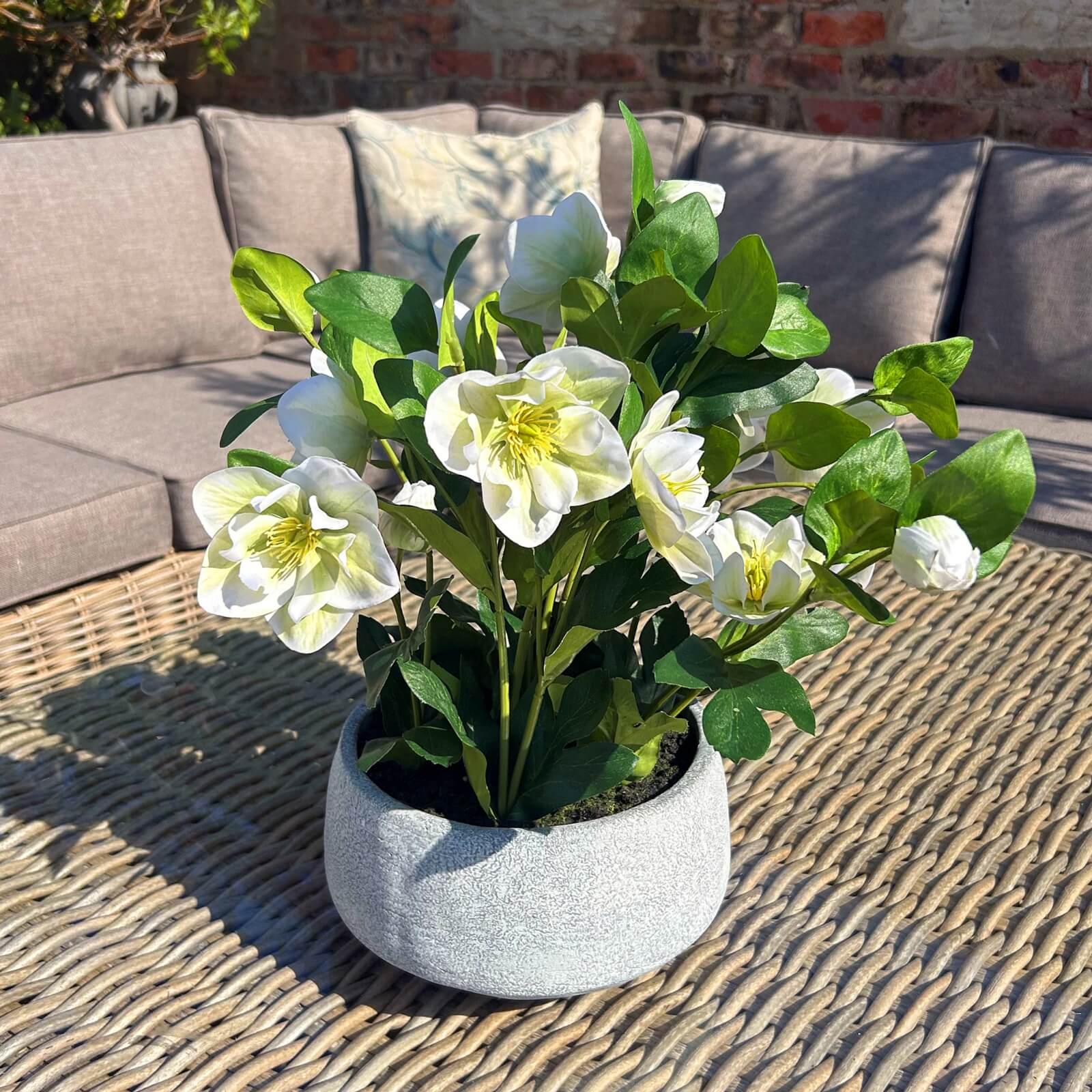 Lifelike white faux hellebore plant in grey ceramic pot, perfect for home decor  

*(87 characters)*  

- **Keywords included:** faux hellebore, white, grey ceramic pot, home decor  
- **Clear description:** Visually conveys the plantâ€™s appearance and context  
- **SEO & accessibility optimized:** Concise, descriptive, and keyword-rich without redundancy by sostter at brixbailey.com