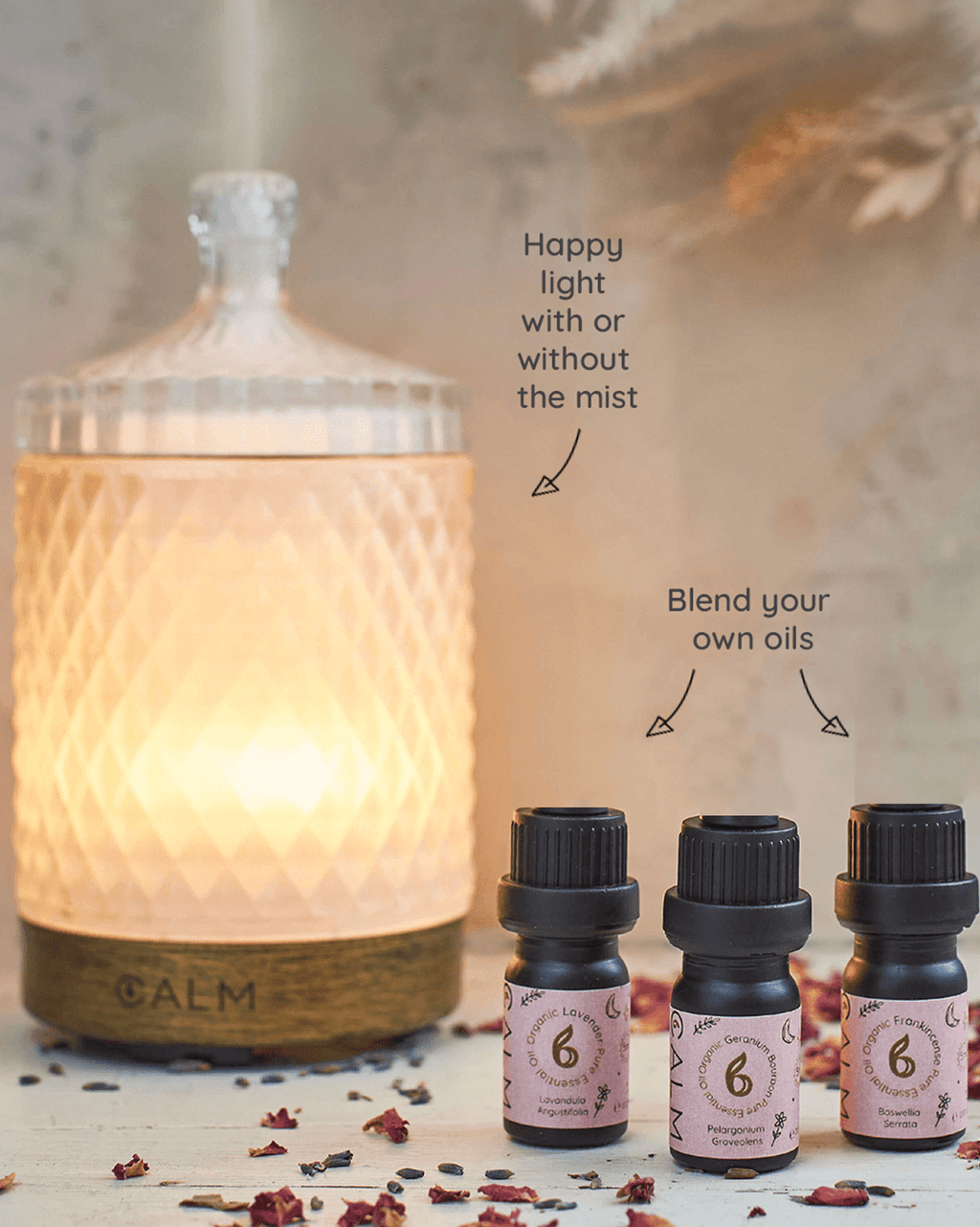 Geo Cut Glass Aroma Diffuser with Rest Calm Oil Set