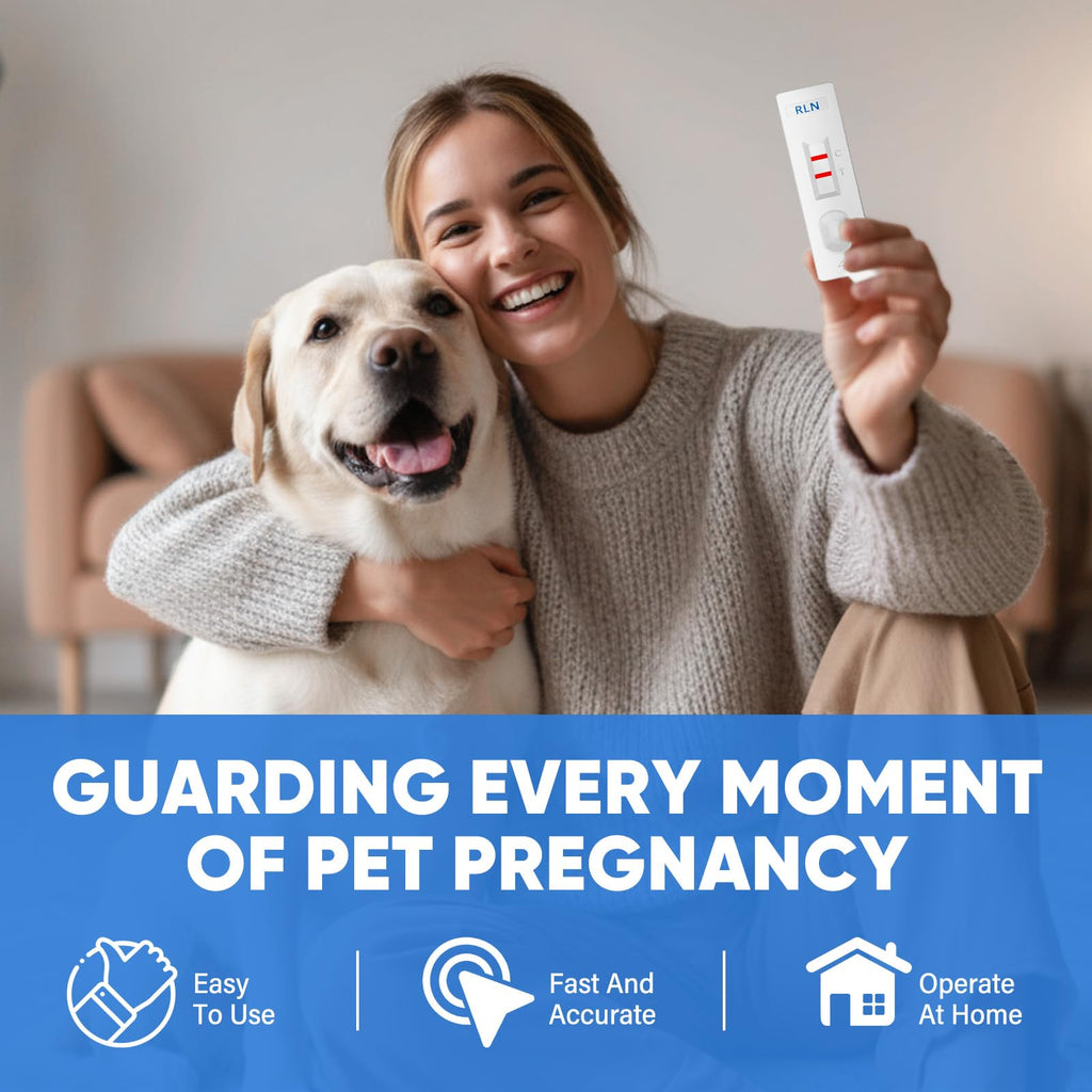 Maternity and Breastfeeding Cushion