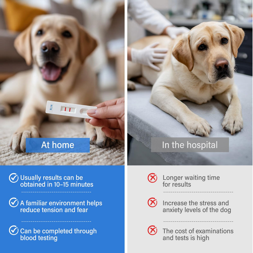 Maternity and Breastfeeding Cushion