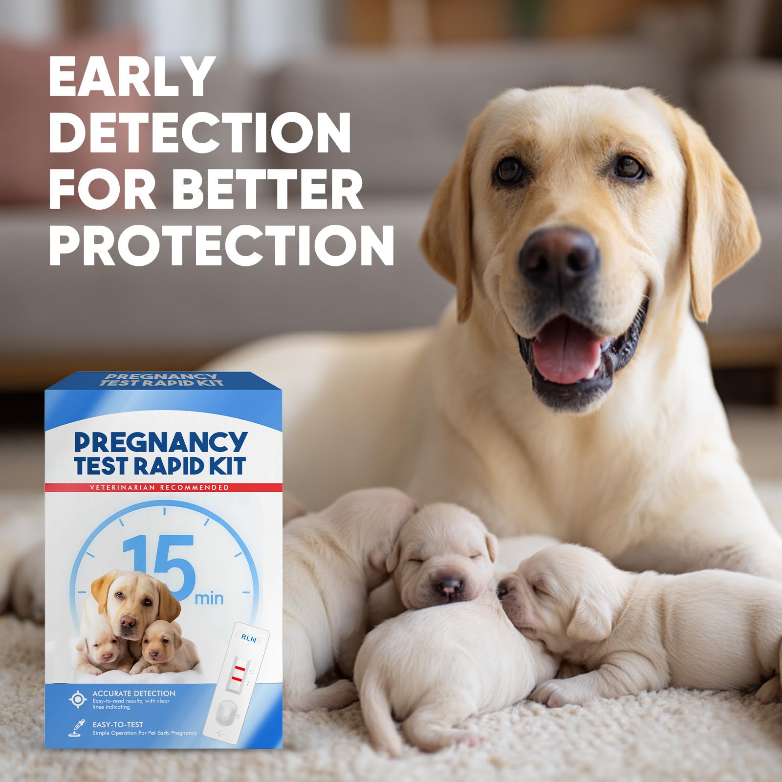 Maternity and Breastfeeding Cushion