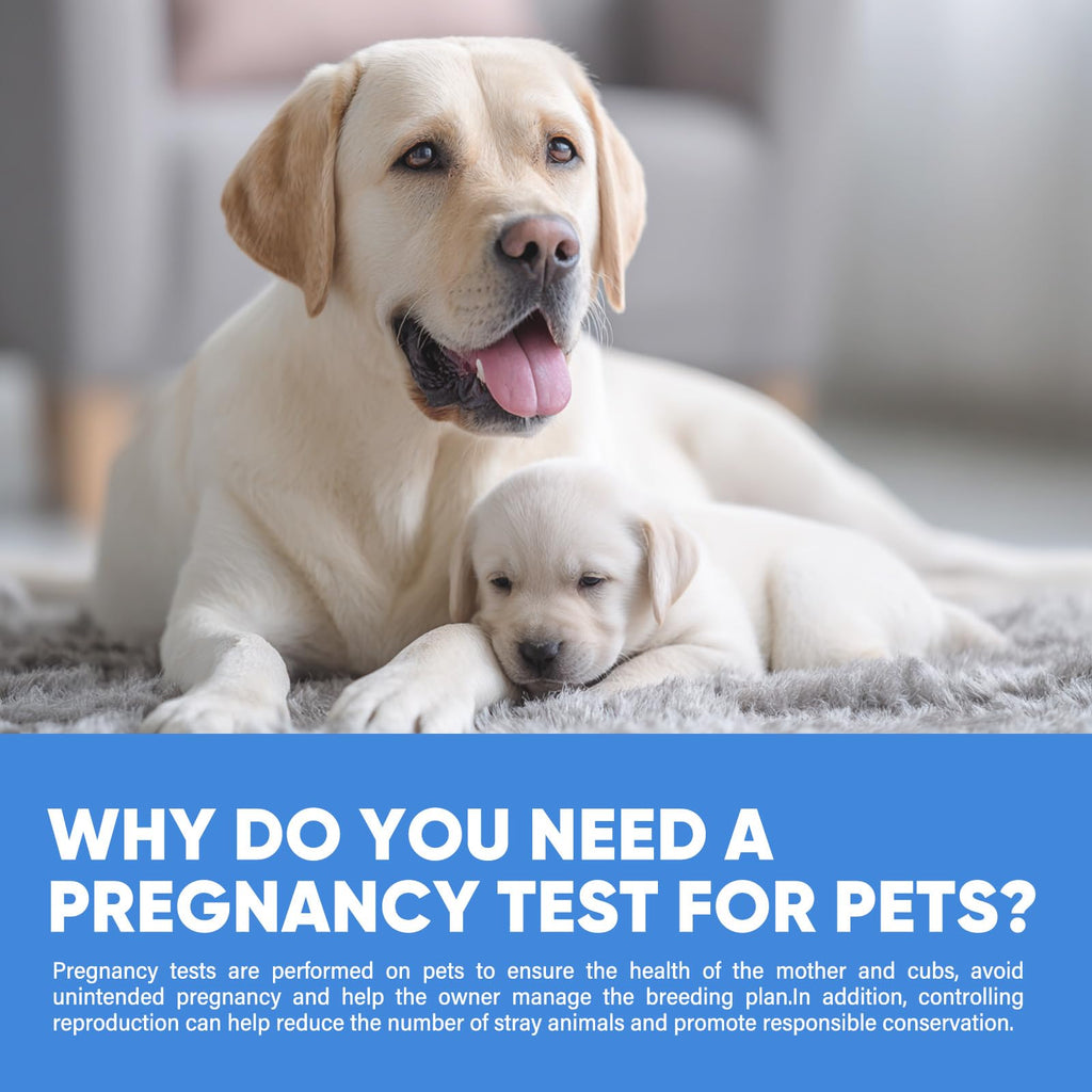 Maternity and Breastfeeding Cushion