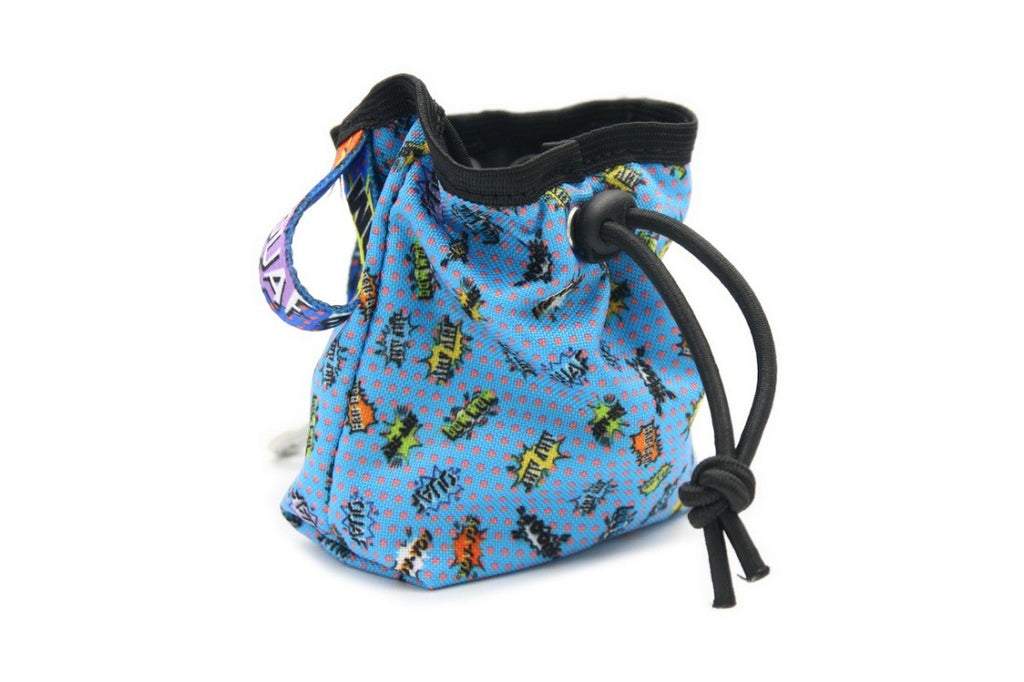 playful blue graffiti dog treat bag with carabiner clip in a sunny park