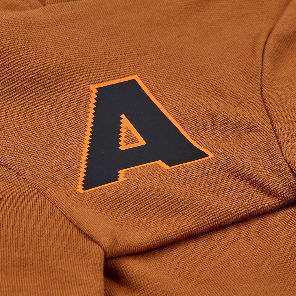 A Print Hoodie in Baby Blue or Brown