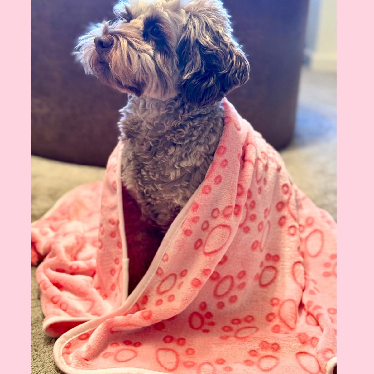 Pink Paws Dog Blanket