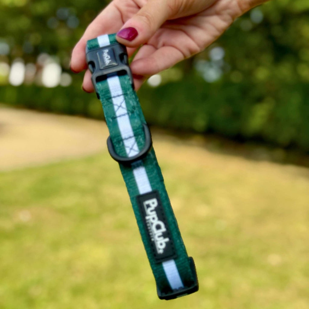 Forest Green Dog Collar with White Stripe