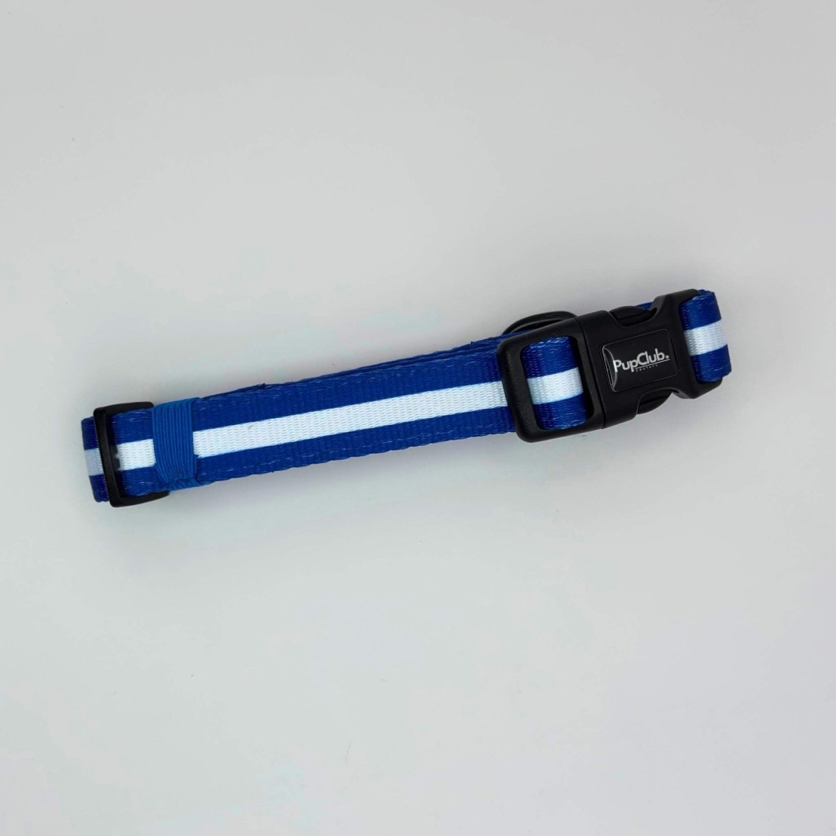 Royal Blue Dog Collar with White Stripe