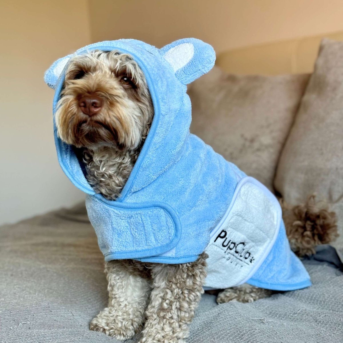 Blue Dog Drying Robe for Quick Bathtime Dry Off