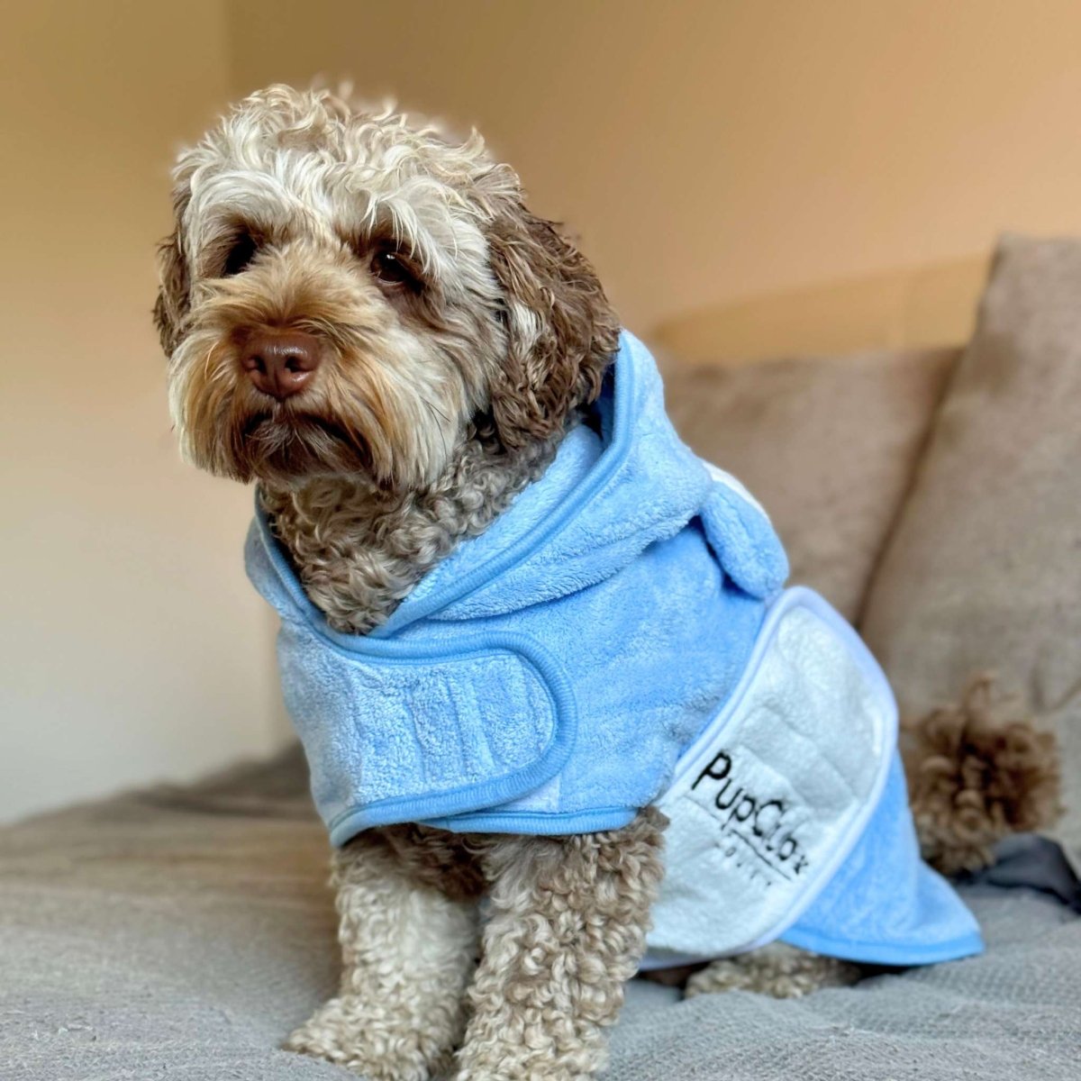 Blue Dog Drying Robe for Quick Bathtime Dry Off