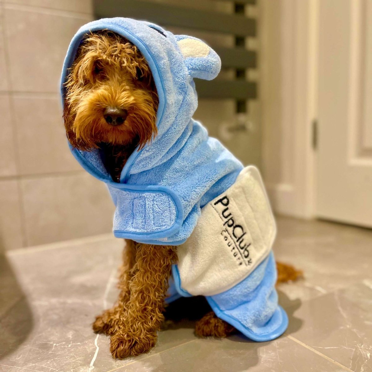 Blue Dog Drying Robe for Quick Bathtime Dry Off