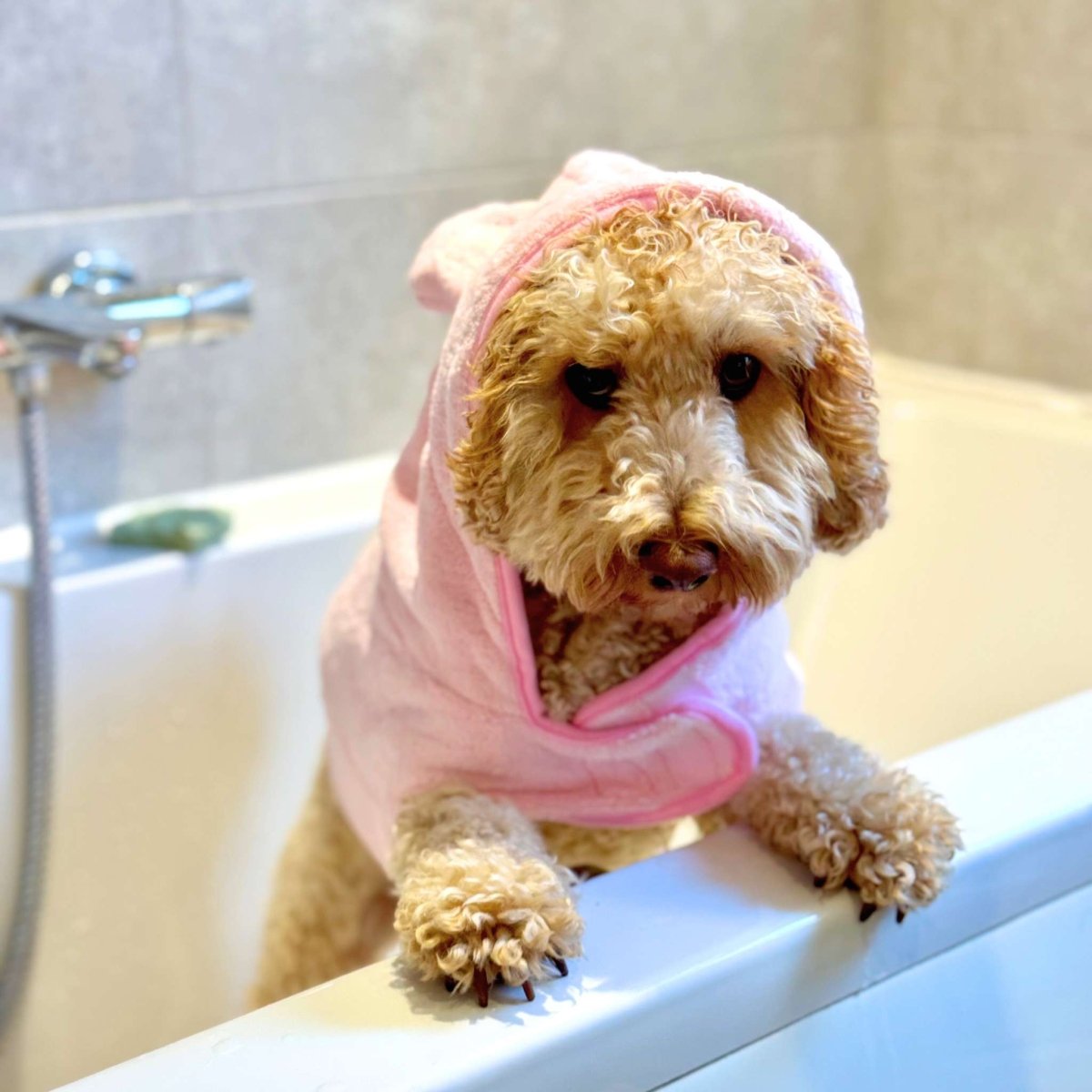 Pink Drying Robe for Dogs