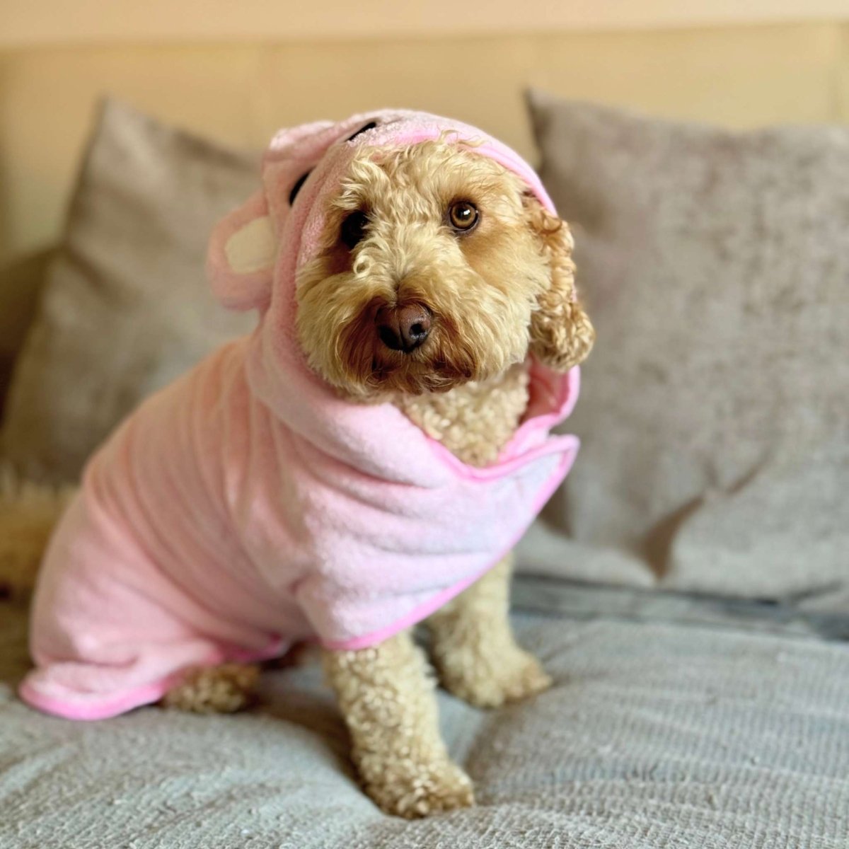 Pink Drying Robe for Dogs