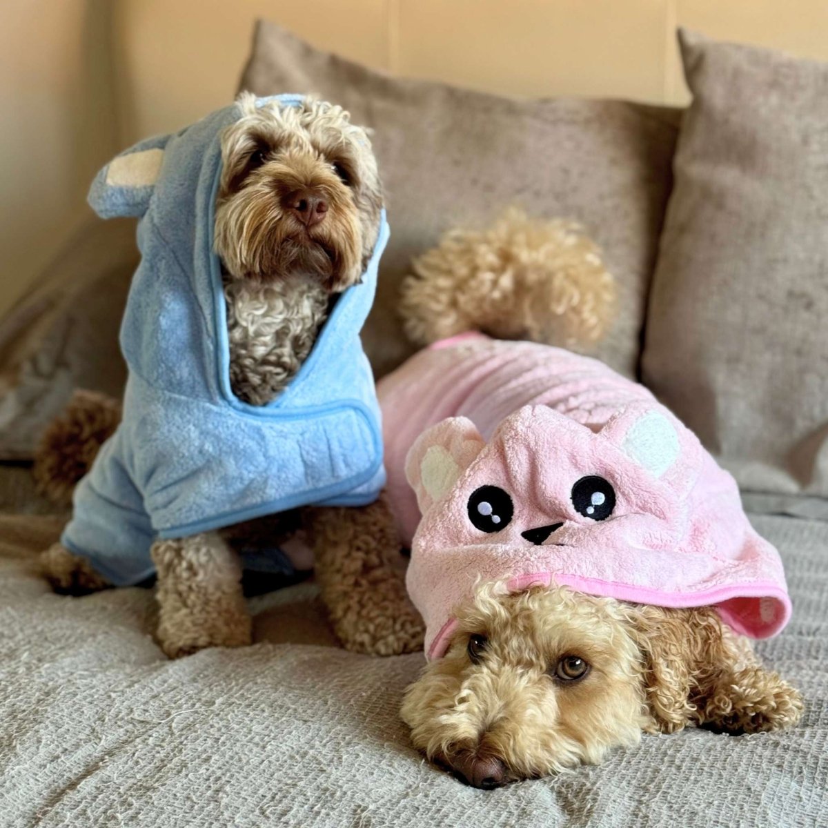 Blue Dog Drying Robe for Quick Bathtime Dry Off