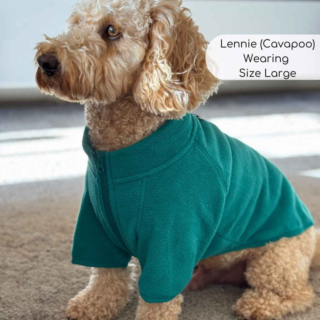Green Dog Fleece Coat