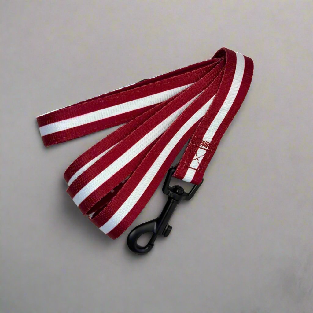 Berry Red 5ft Dog Lead with Padded Handle