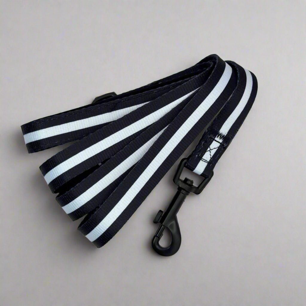 Midnight Black Dog Lead with White Detail