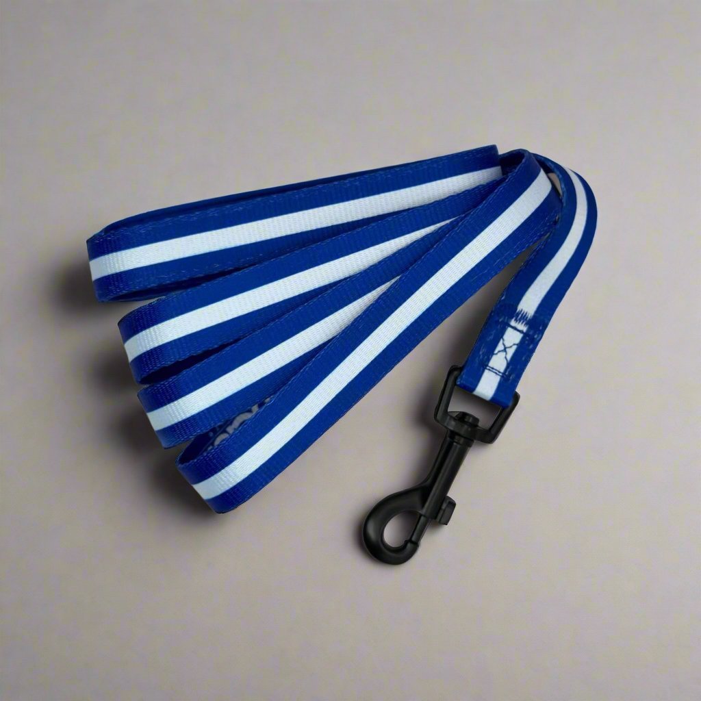 Royal Blue Dog Lead 5ft
