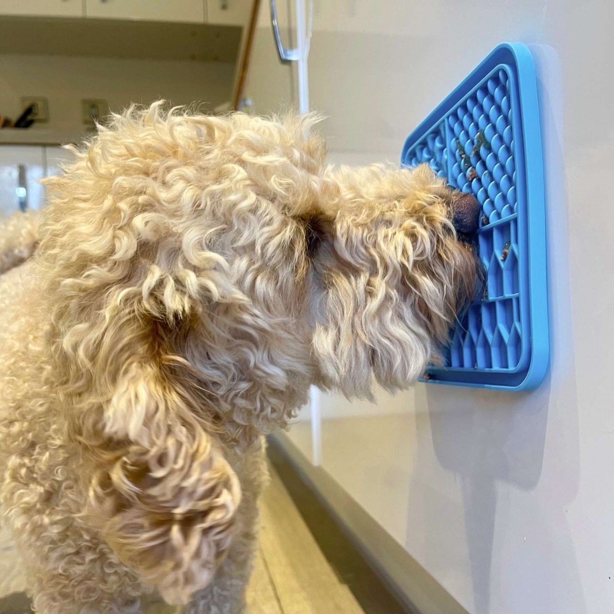 Blue Silicone Dog Lick Mat