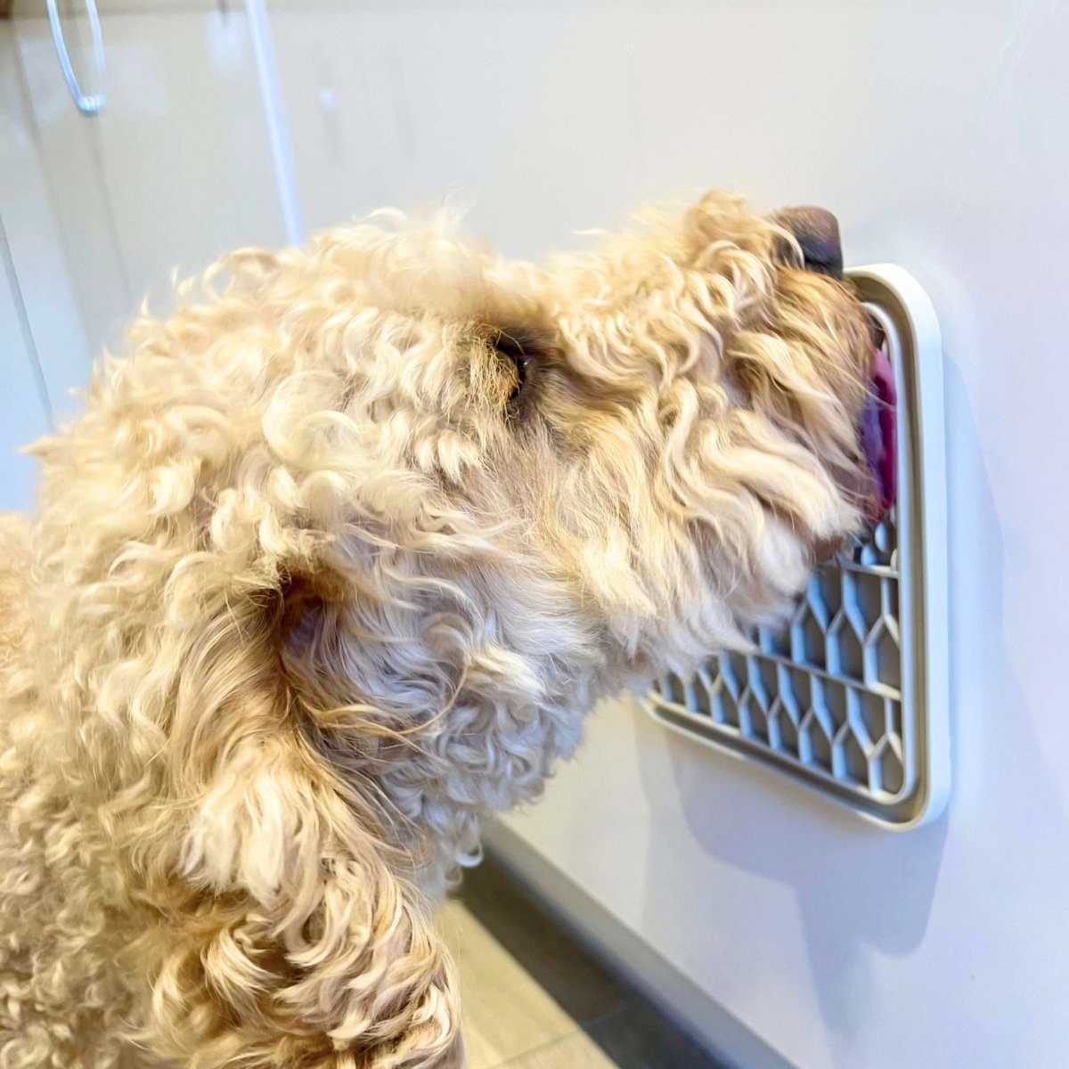 Cream Lick Mat for Dogs