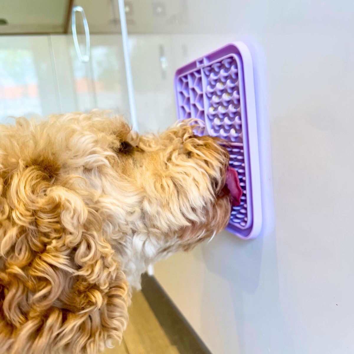 Lilac Lick Mat for Dogs