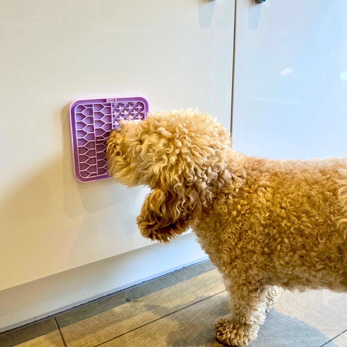 Lilac Lick Mat for Dogs