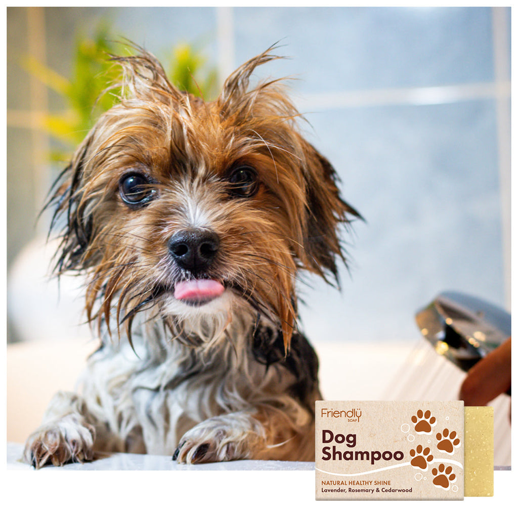Natural Dog Shampoo Bar