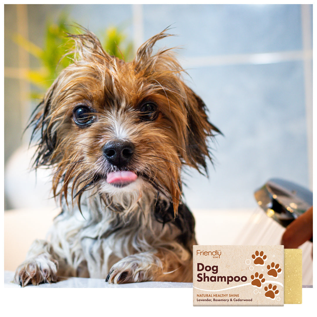 Natural Dog Shampoo Bar
