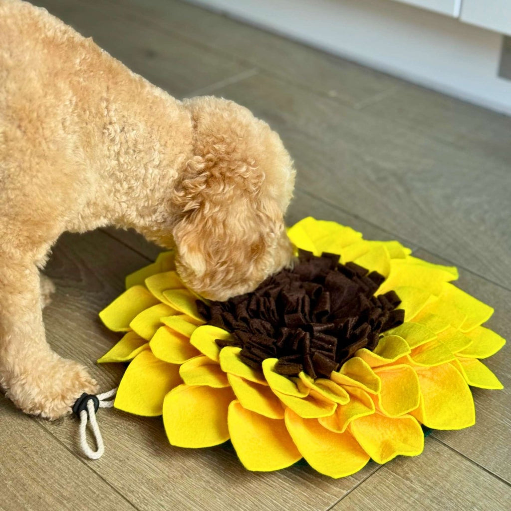 Sunflower Snuffle Mat for Dogs