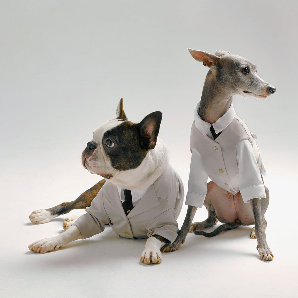 Complete Waistcoat Set with Shirt and Embroidered Tie