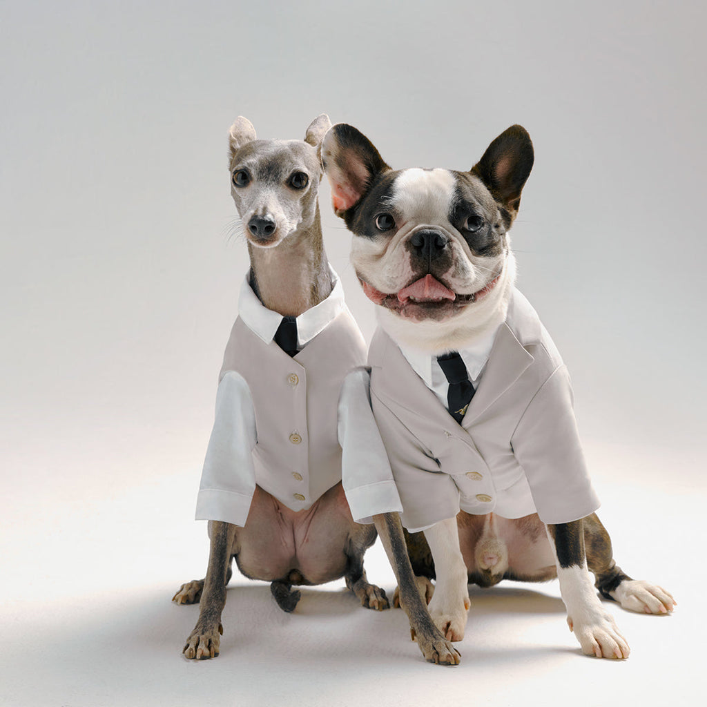 Complete Suit Set with Embroidered Necktie