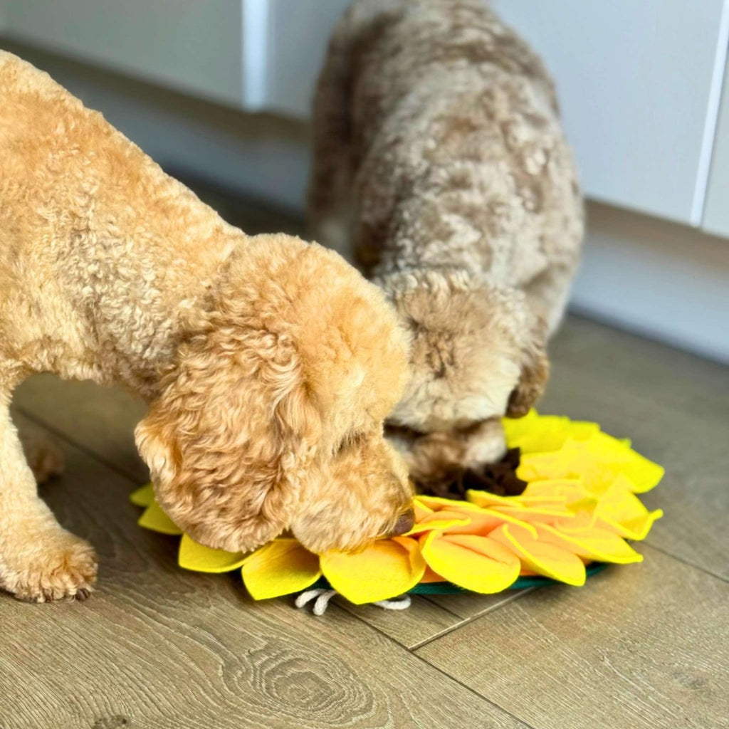 Sunflower Snuffle Mat for Dogs