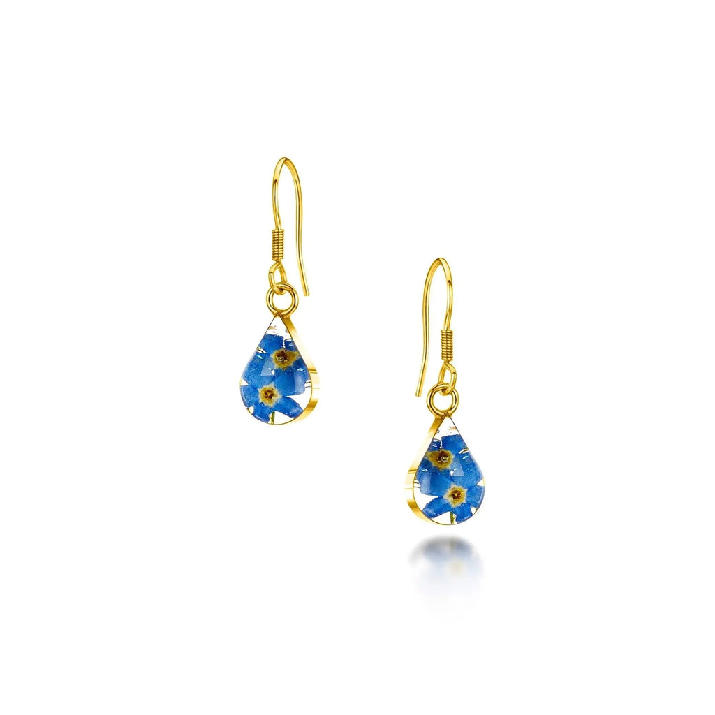Sterling Silver Forget Me Not Teardrop Earrings with Real Flowers