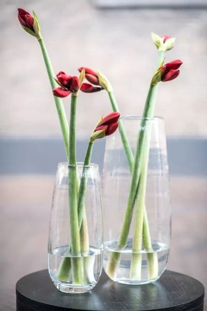 Robert Clear Glass Vase