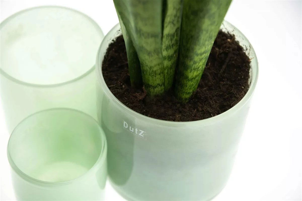 Menthol Glass Cylinder Candle Votive