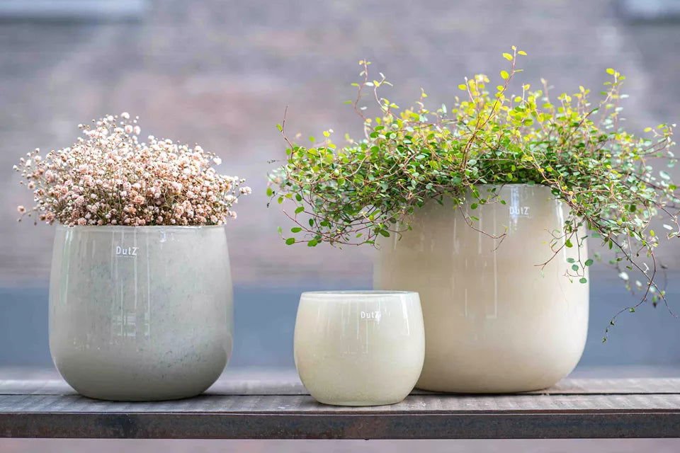 Glass Pot in Beige